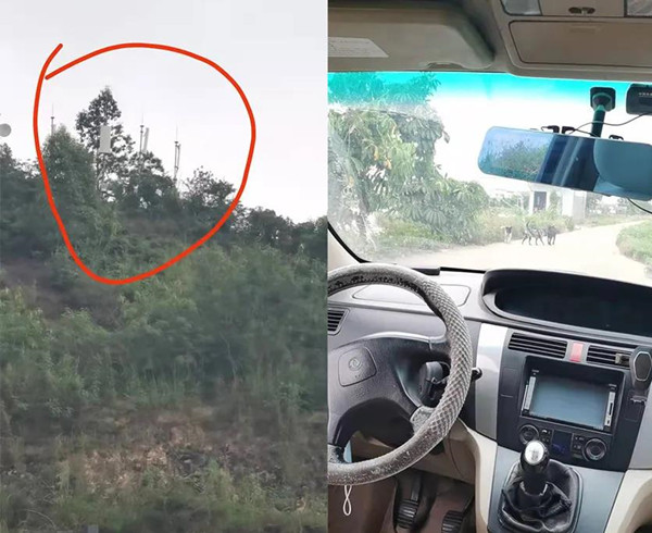 betway����ķ��������ʦ