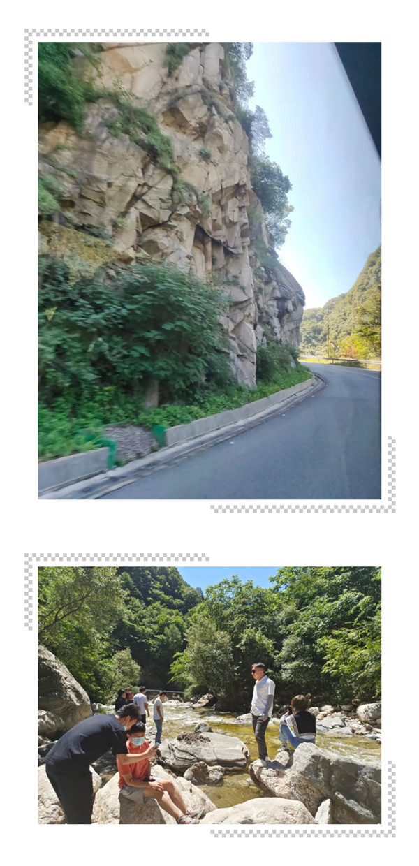 betway����ķ������������IT������