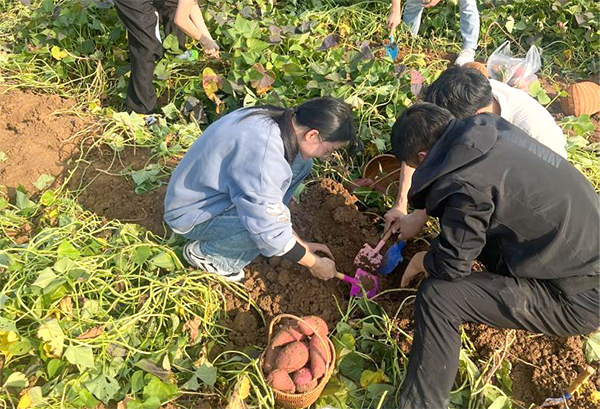 BETWAY¡¤±ØÍþ(Î÷ººÄ·Áª)¹Ù·½ÍøÕ¾-West Ham United