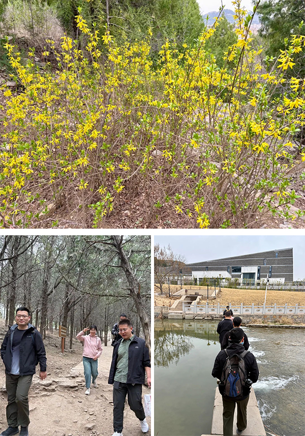 BETWAY������(����ķ��)�ٷ���վ-West Ham United