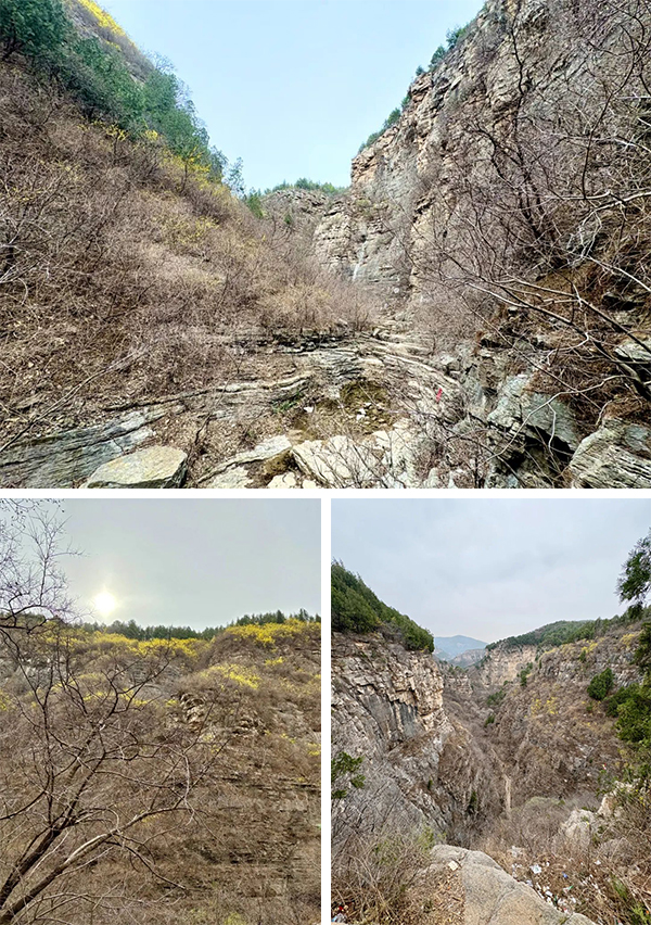 BETWAY������(����ķ��)�ٷ���վ-West Ham United